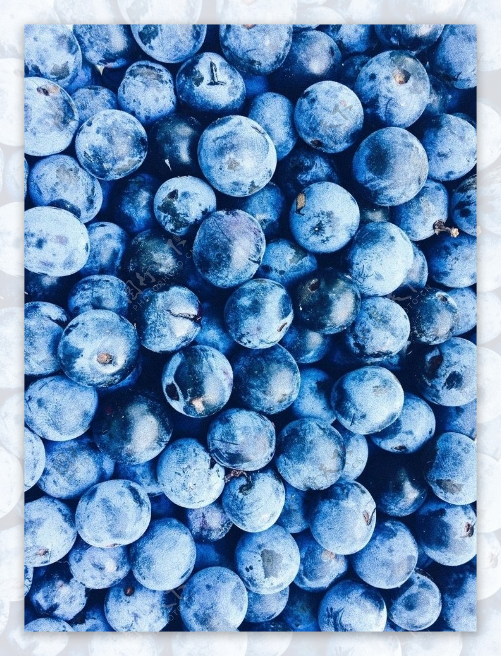 蓝莓组成的背景