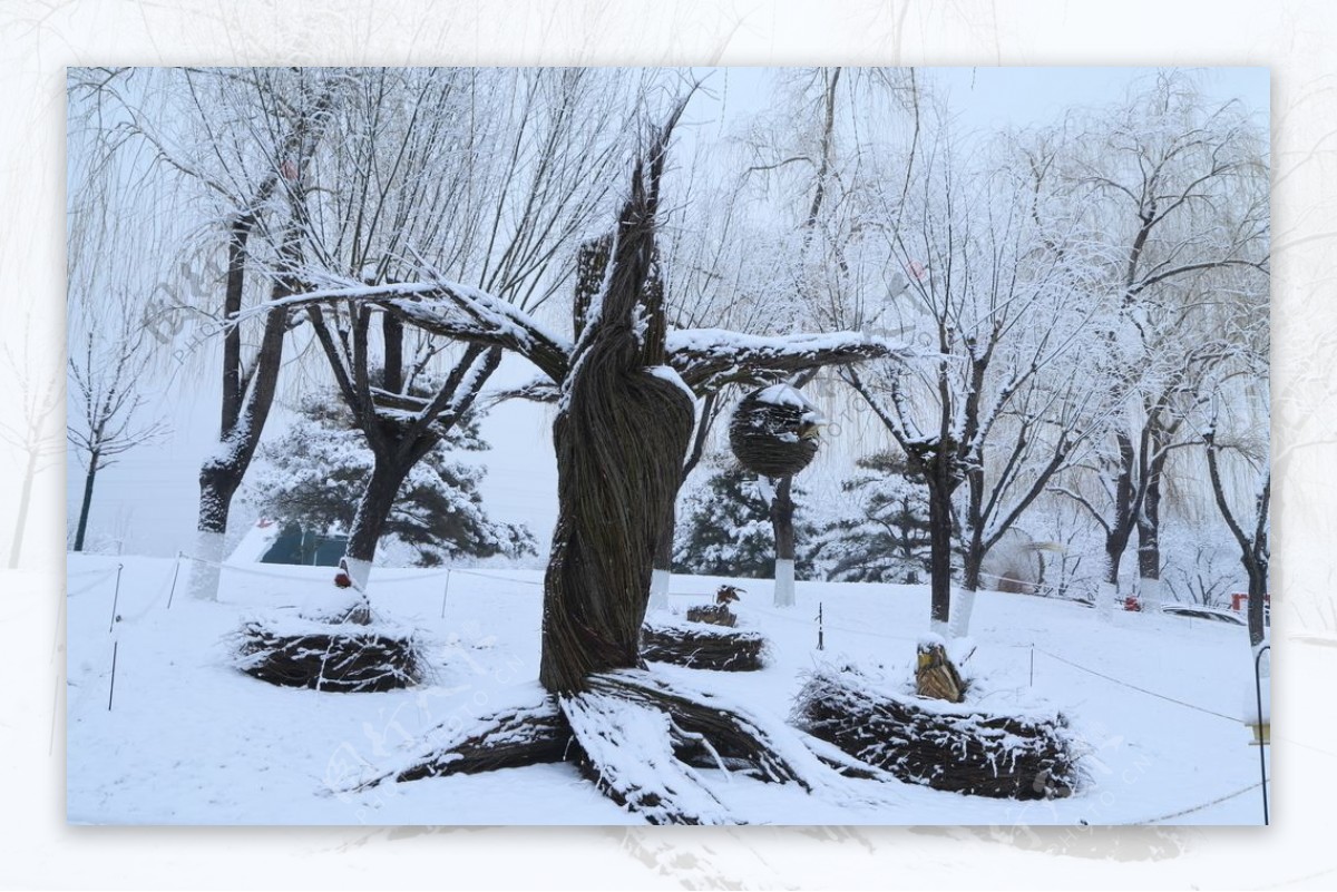 冬雪地景