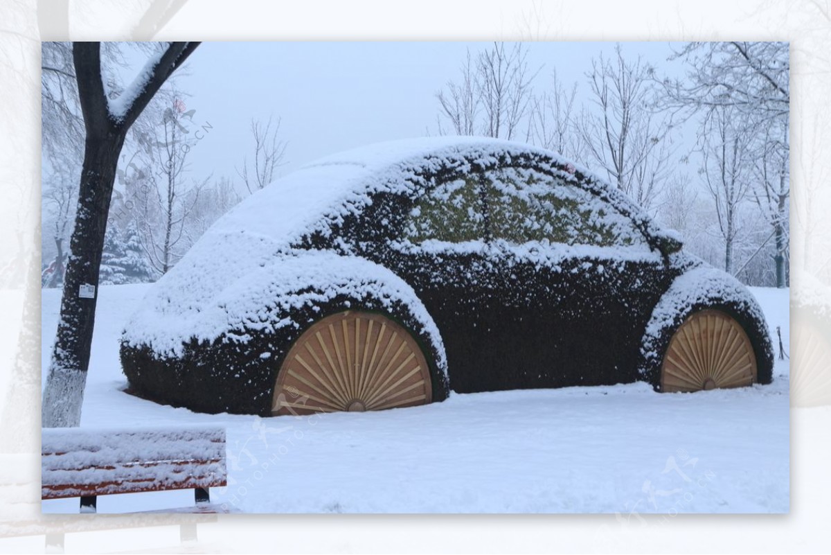 冬雪地景