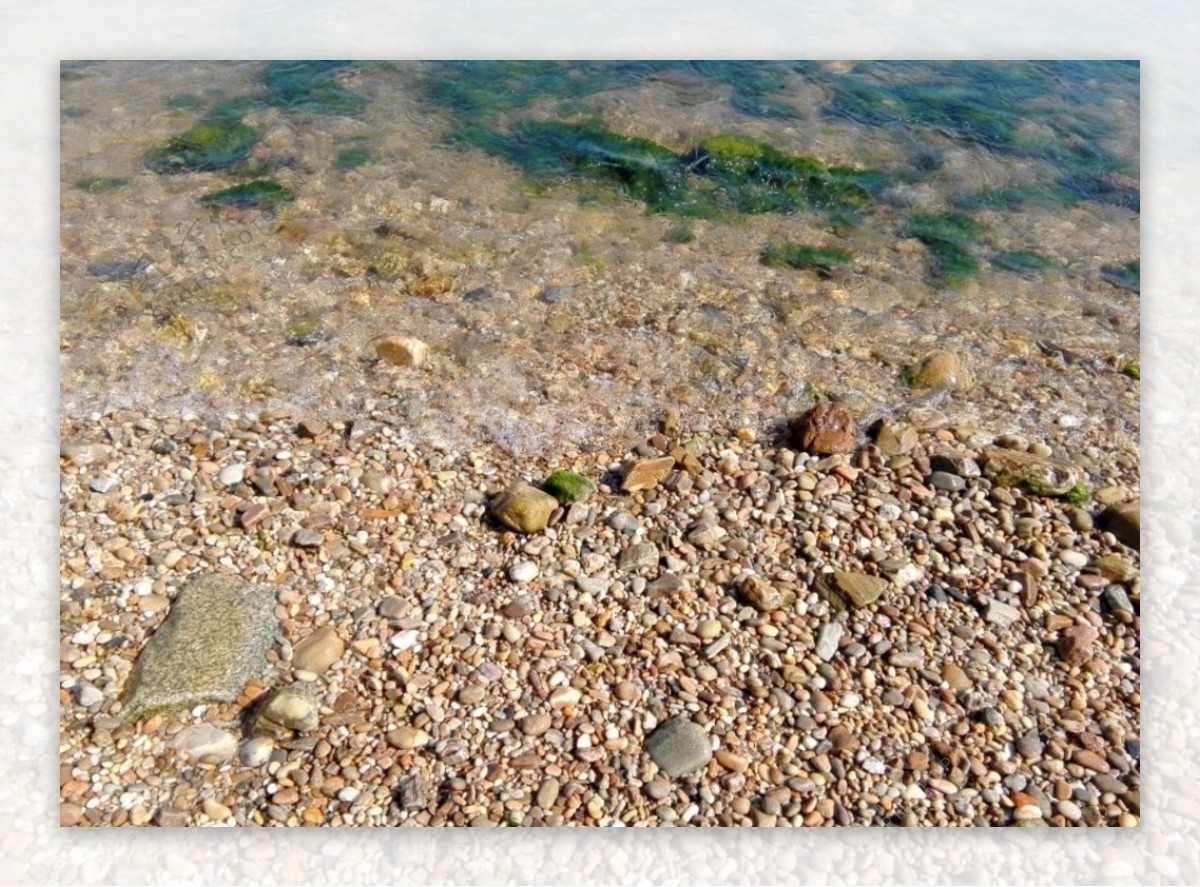 借助石头逃脱的海藻