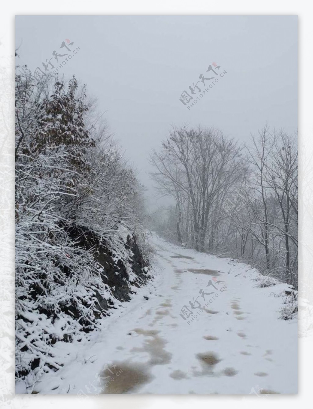 雪景