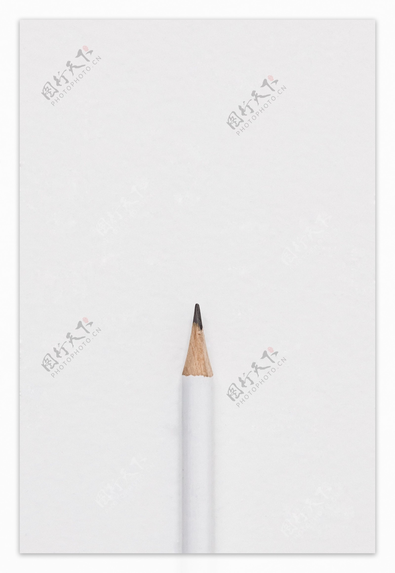 白色背景上的白色铅笔