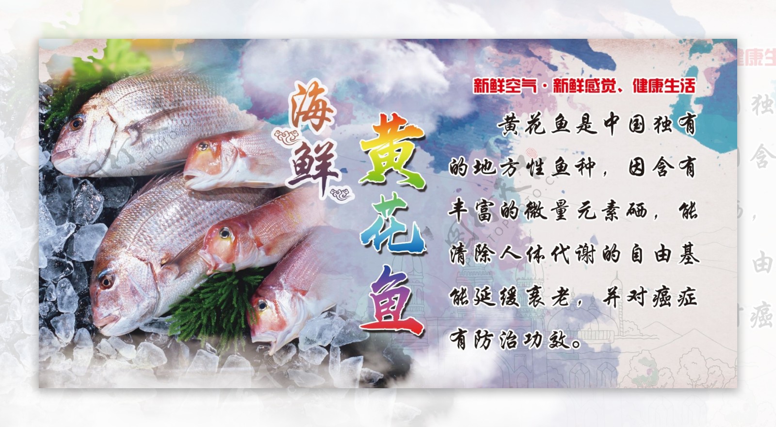 海鲜宣传黄花鱼
