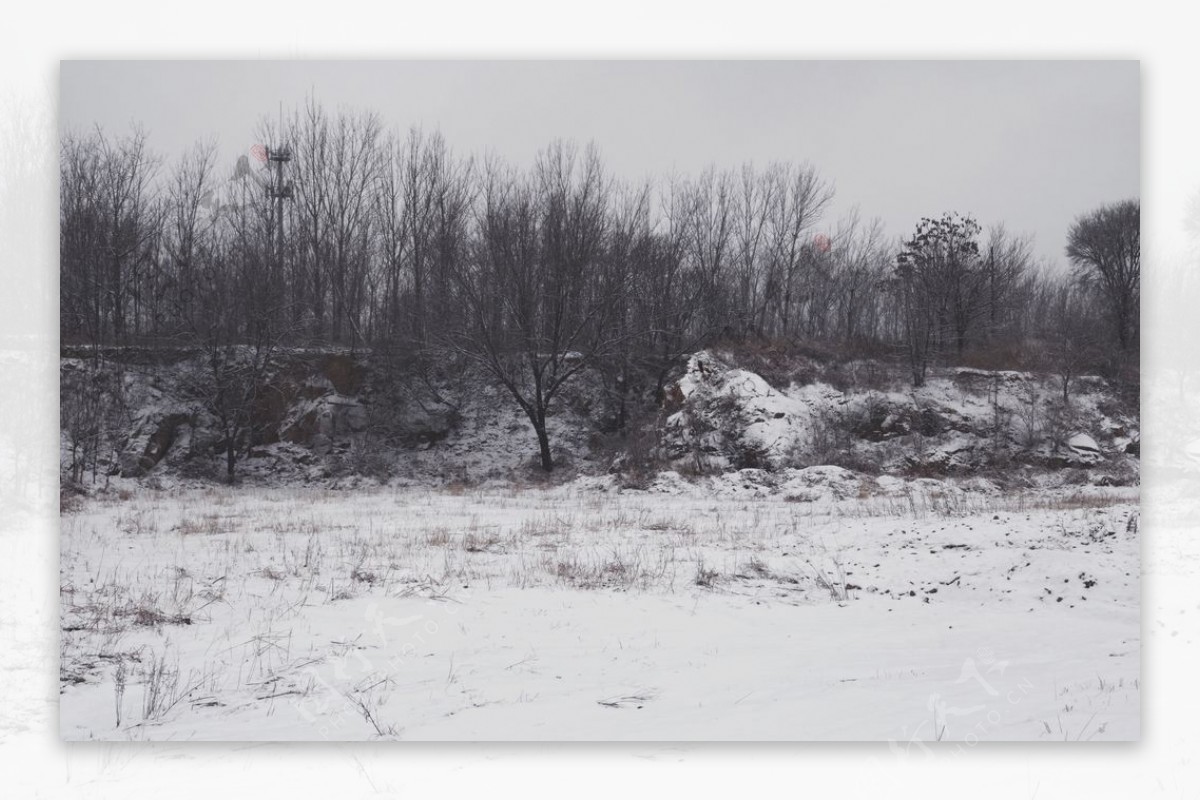 雪景