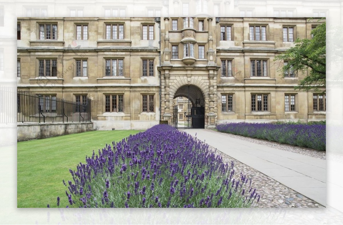 剑桥大学校园景观摄影美图
