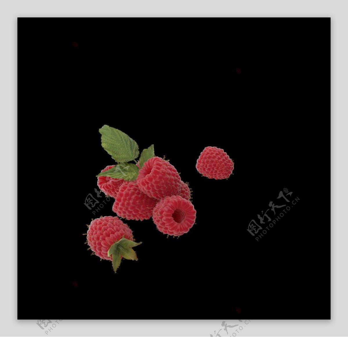 木莓抠图