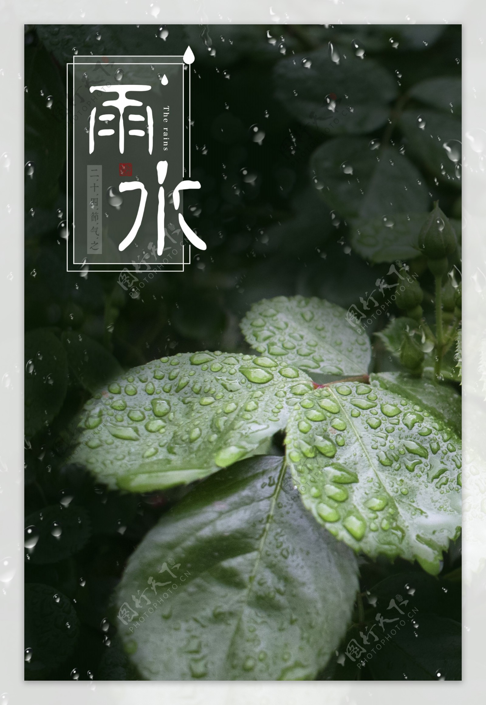 雨水