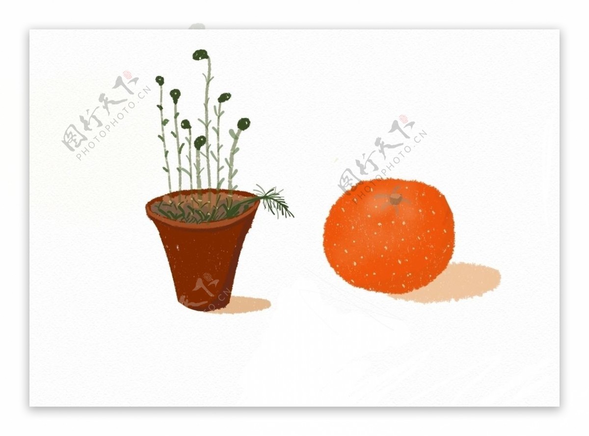 蔬菜植物盆栽插画