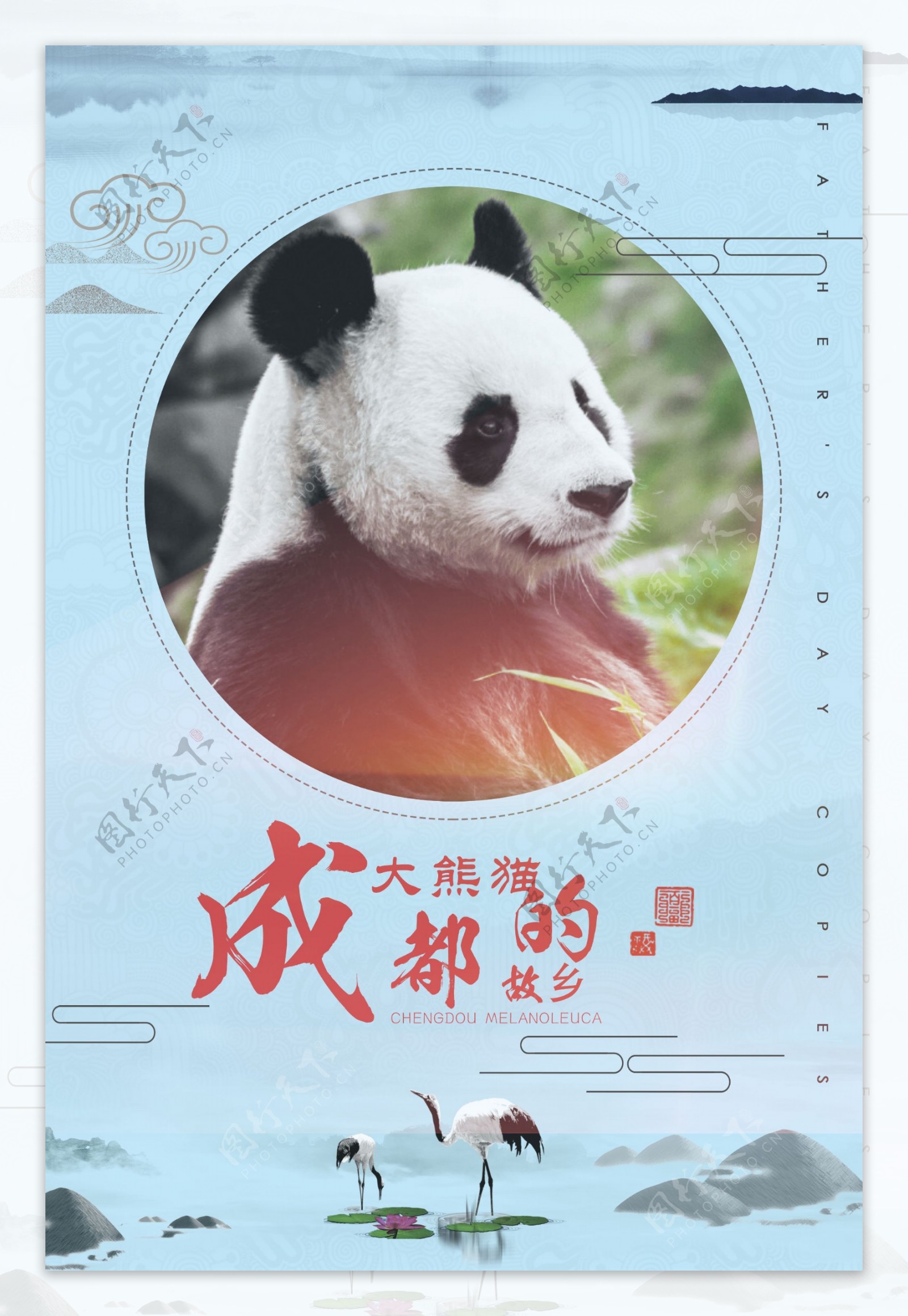 成都国宝大熊猫故乡珍稀动物