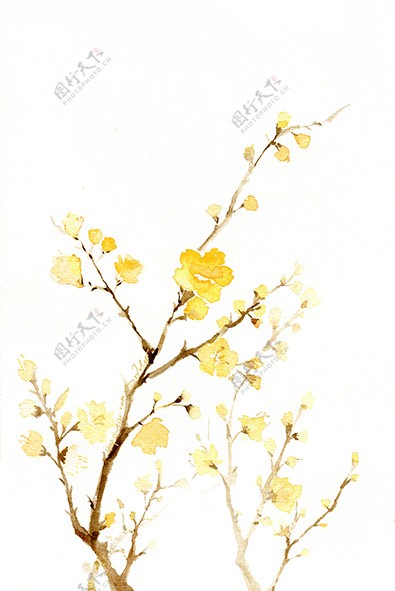 黄色树枝花PNG素材水墨
