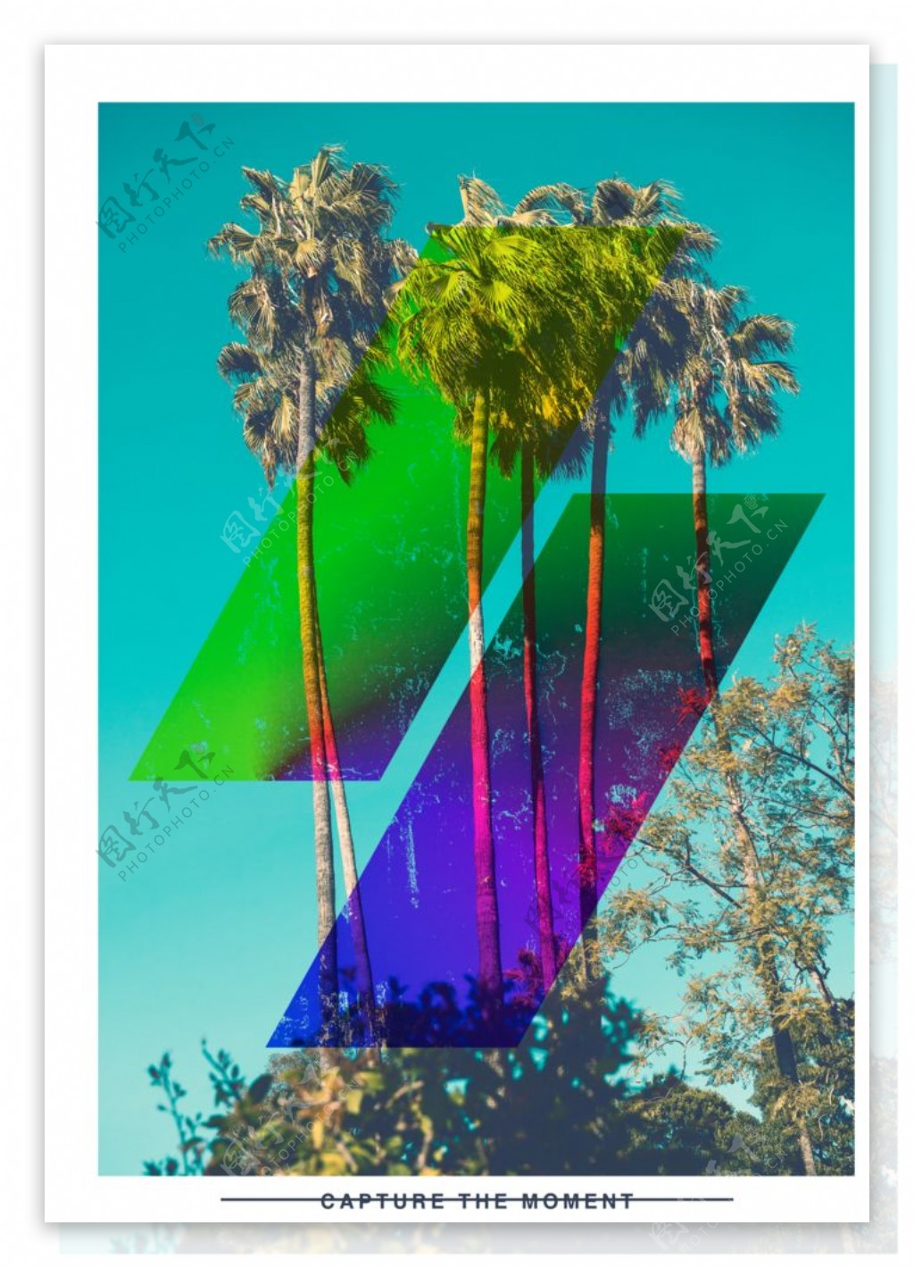 彩色椰子树摄影潮流艺术海报