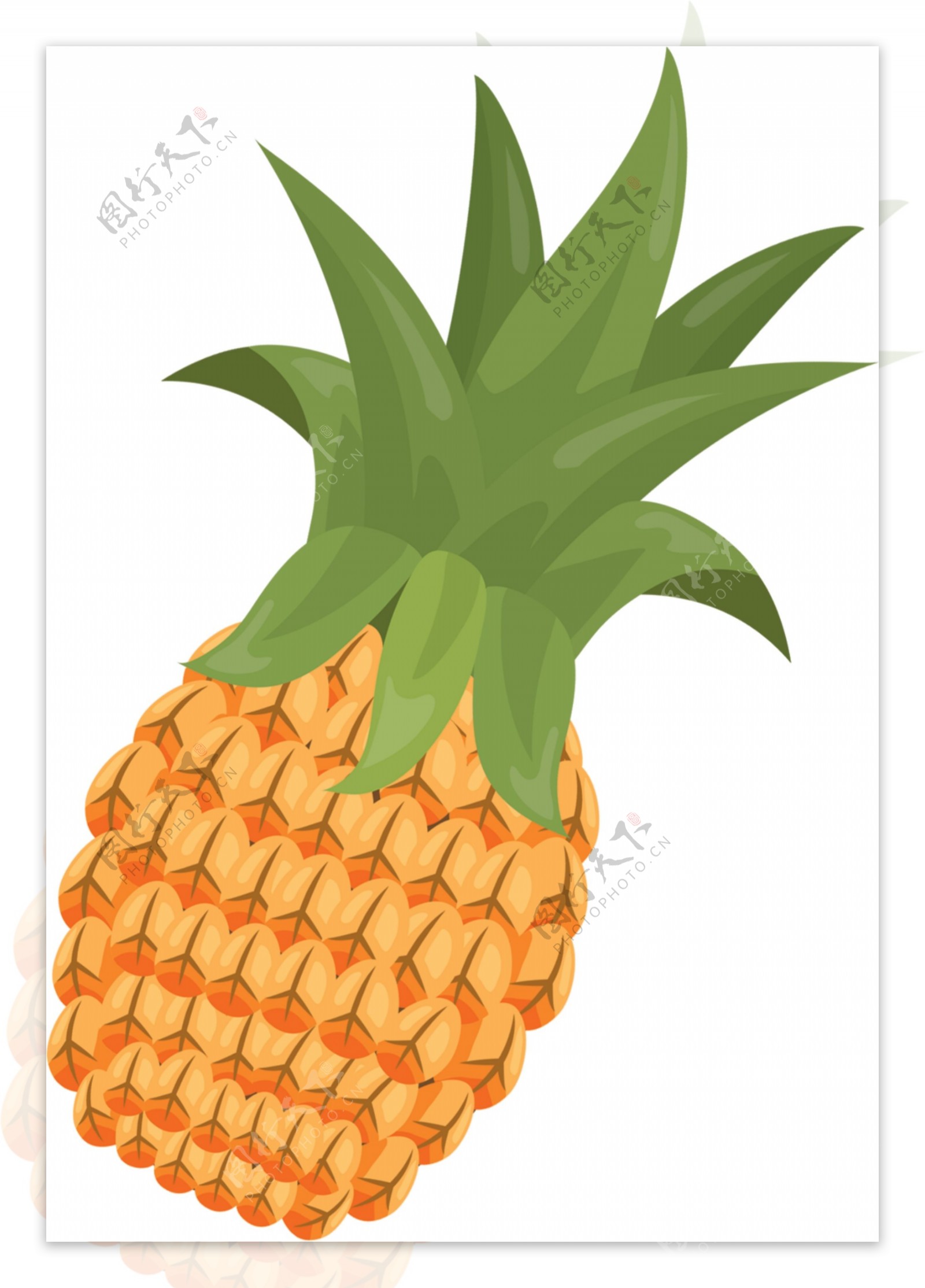 菠萝卡通菠萝