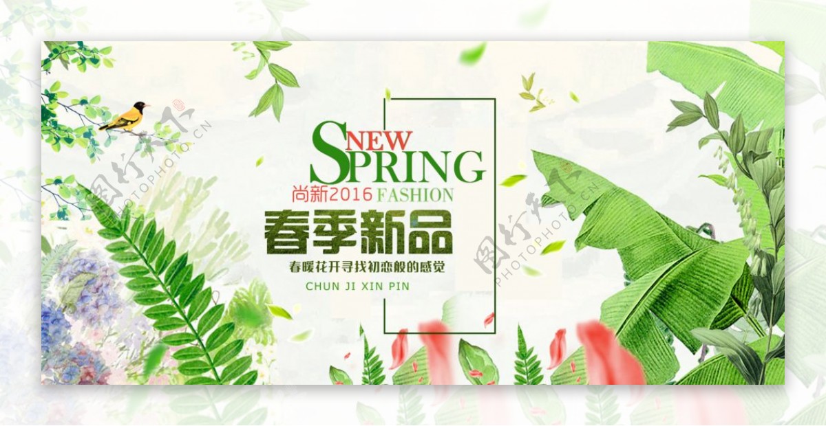 春季上新banner