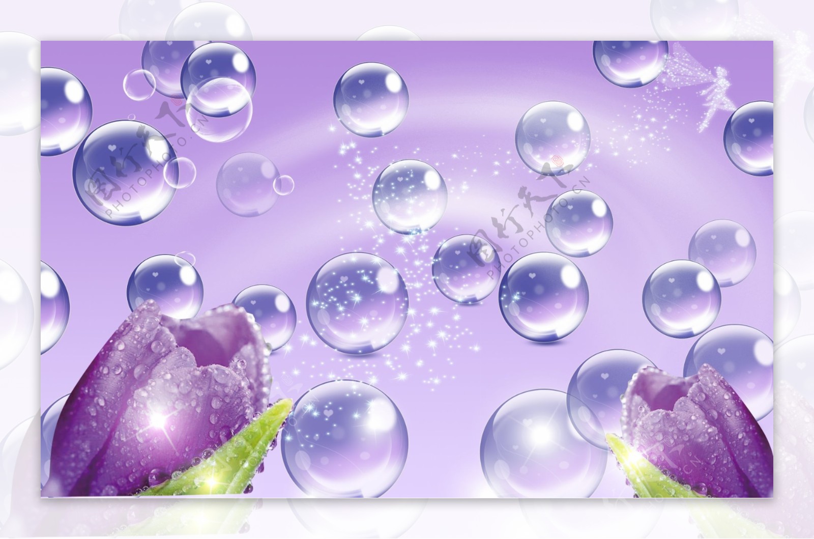 玻璃球紫色郁金香梦幻星光