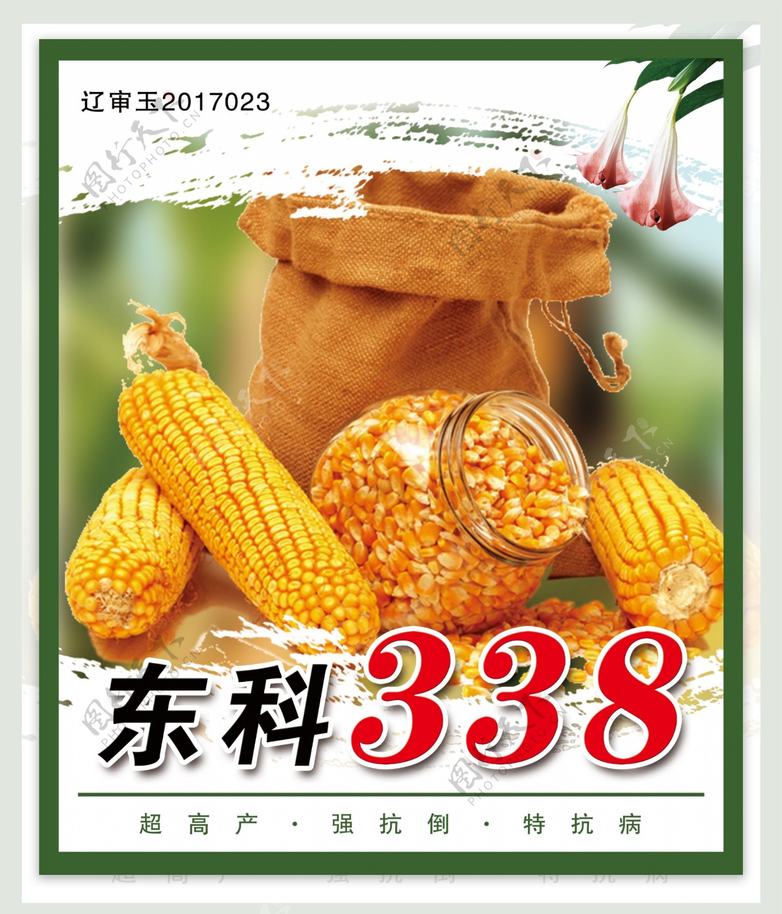 玉米种子海报