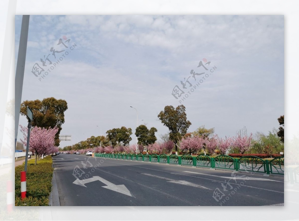 春日道路