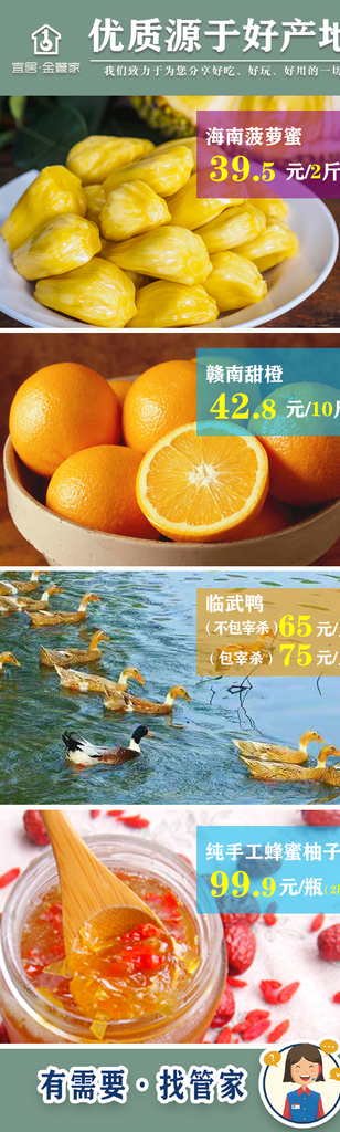菠萝蜜橙子临武鸭蜂蜜柚子
