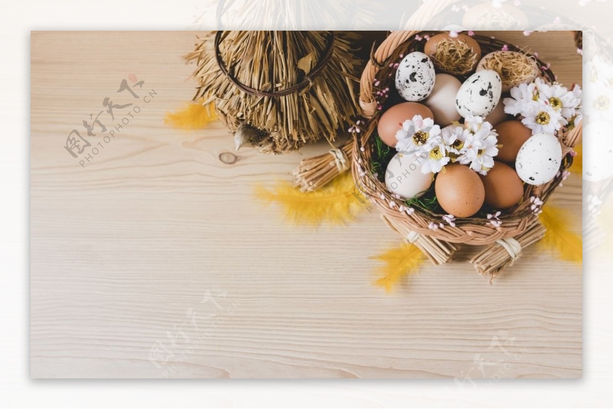 鸡蛋竹篮白色花朵背景