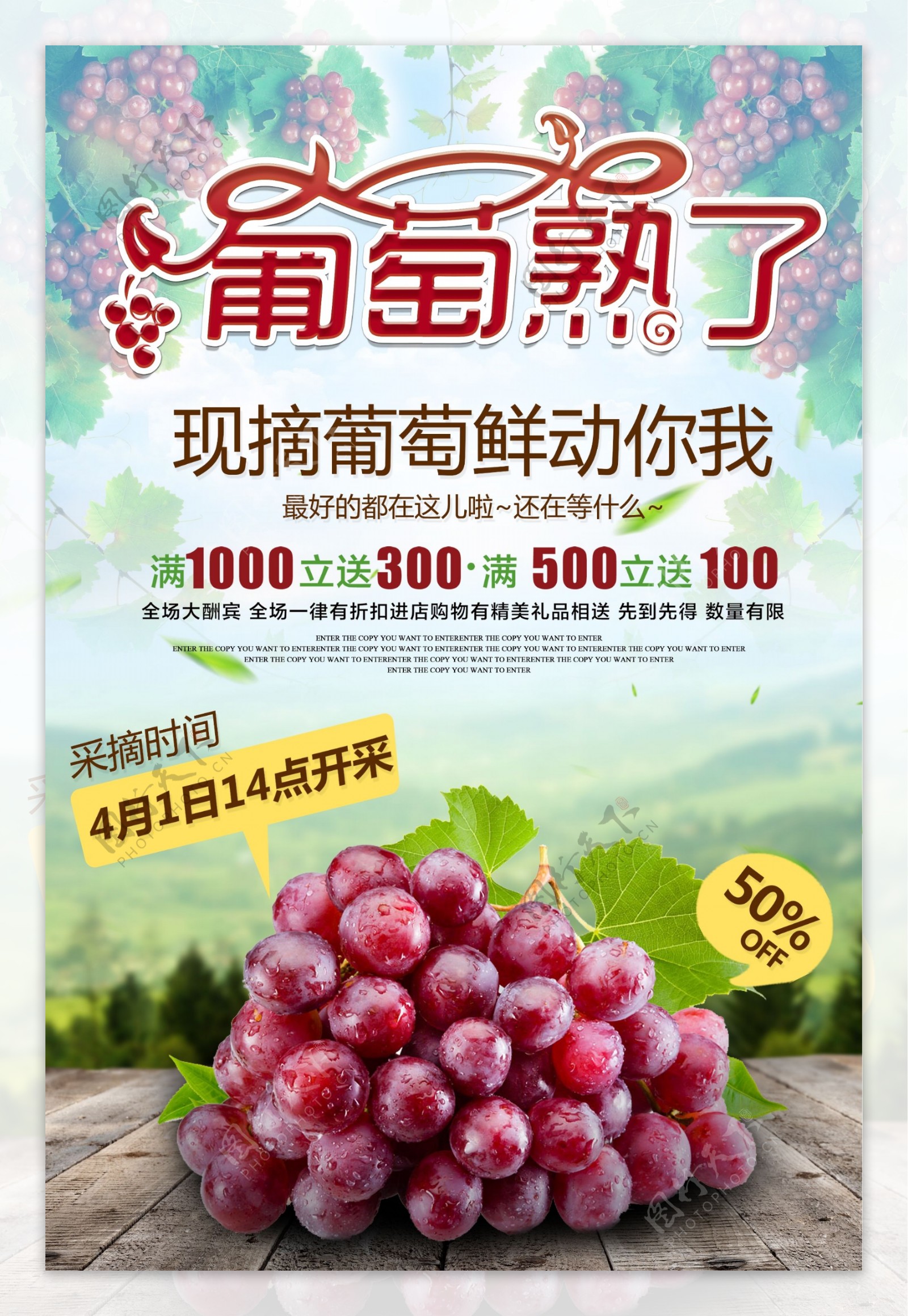 采摘季美食葡萄采摘优惠活动海报