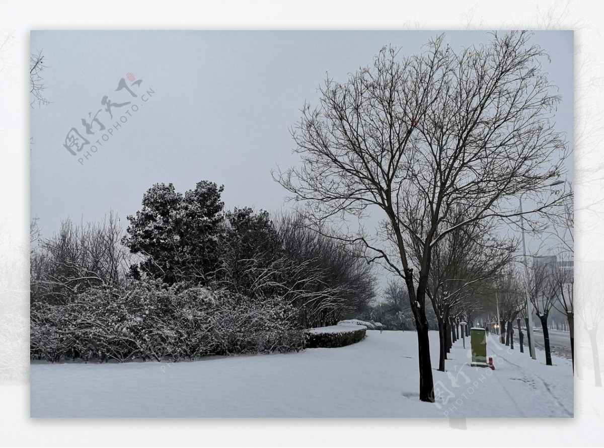 静态雪景