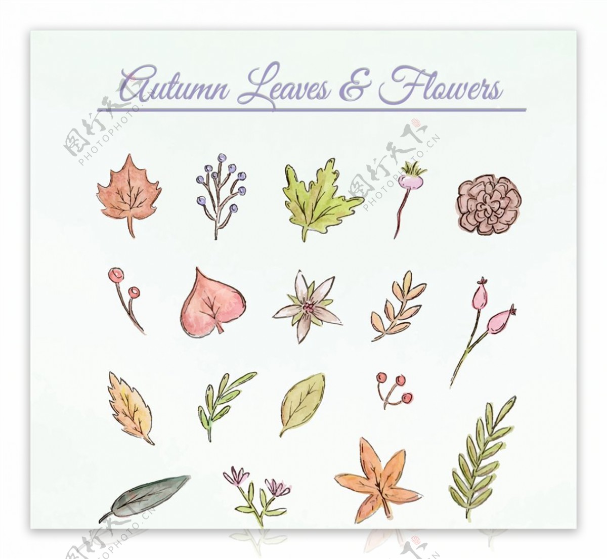 彩绘秋季叶子和花朵矢量素材