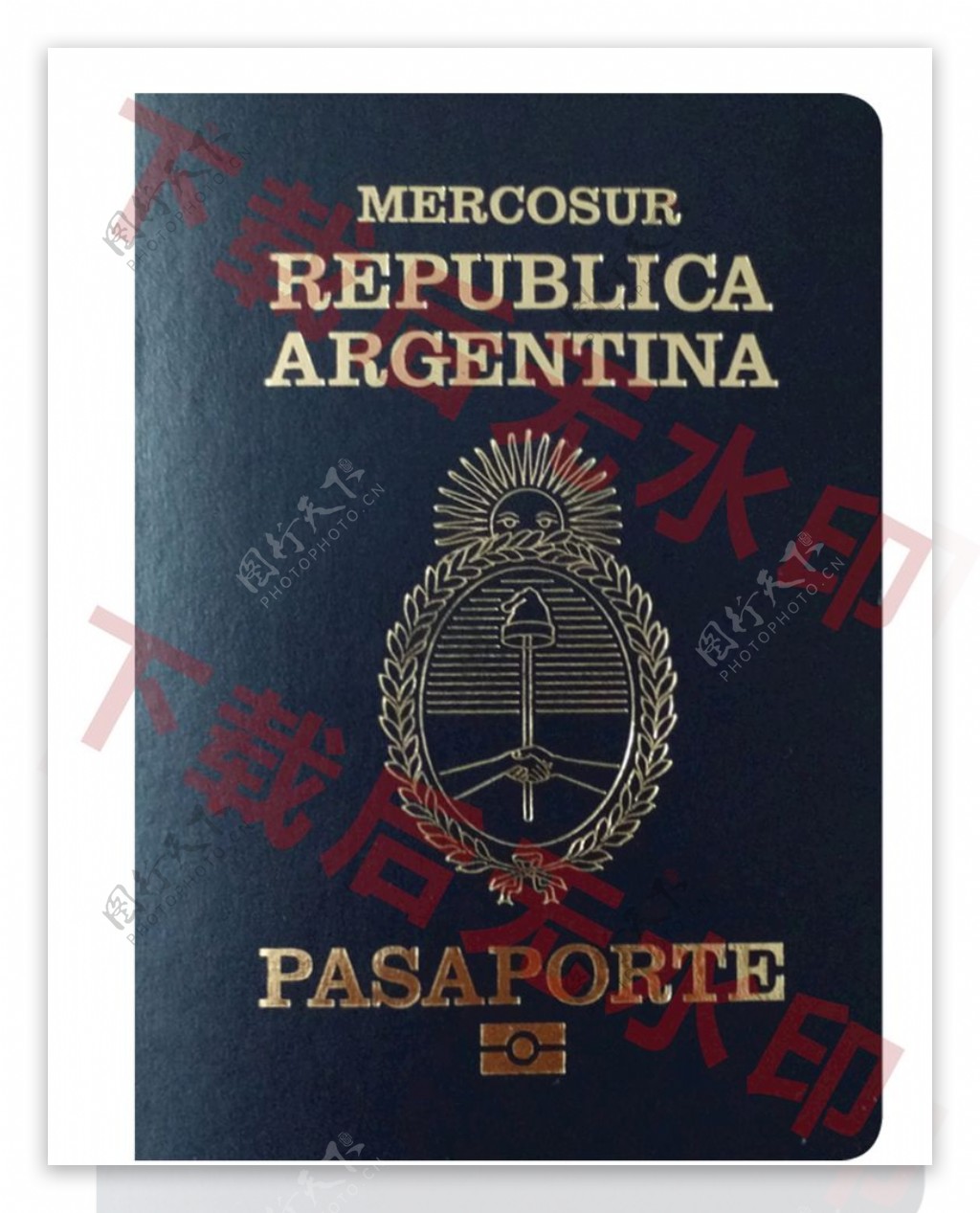 阿根廷亚护照