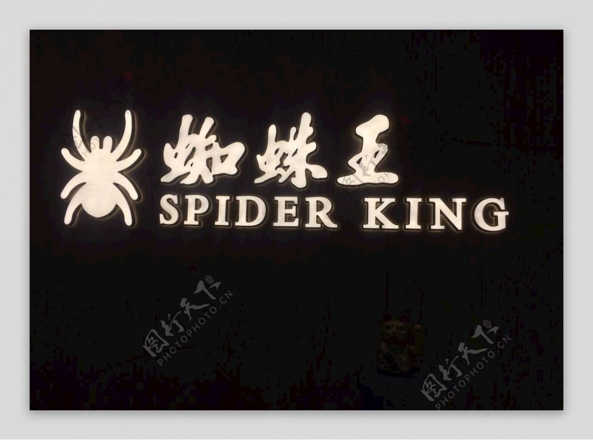 蜘蛛王logo