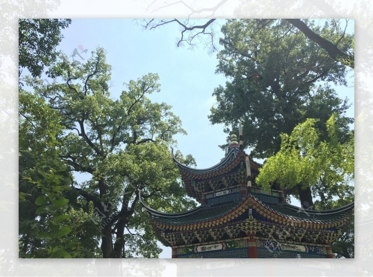 韶光南华寺风景