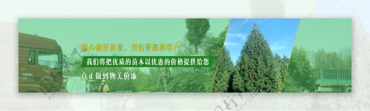 淡绿色网站banner