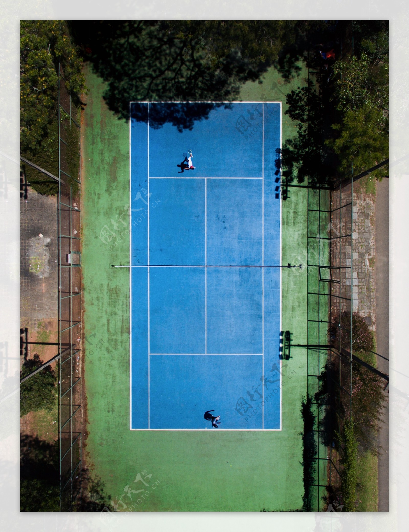 树林网球场