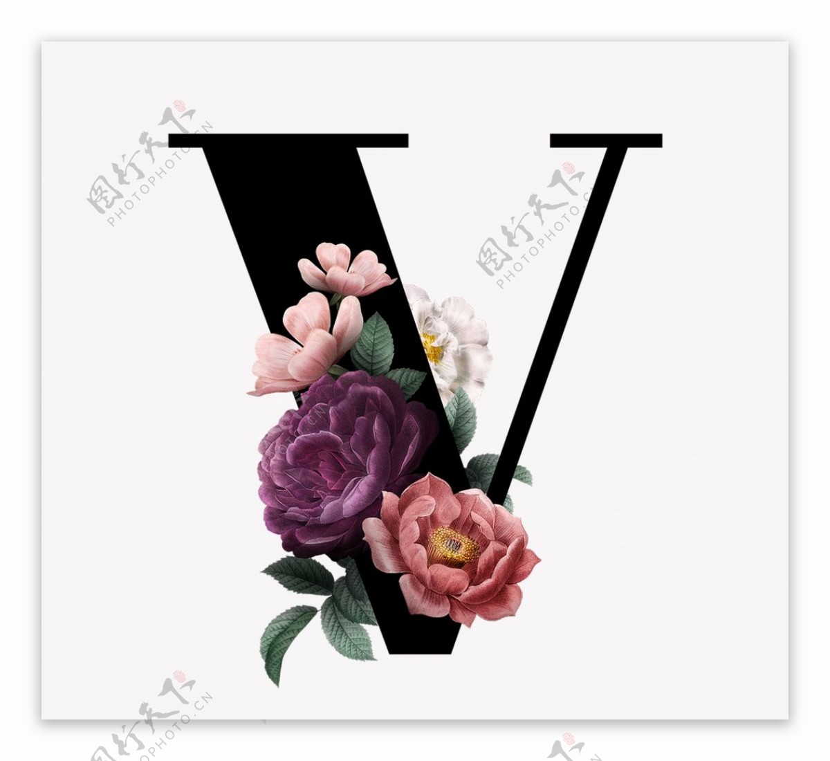 花字母V