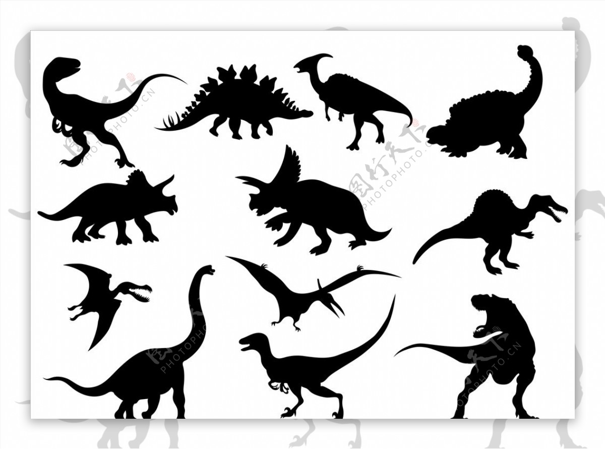 黑白恐龙图片素材-编号14999690-图行天下