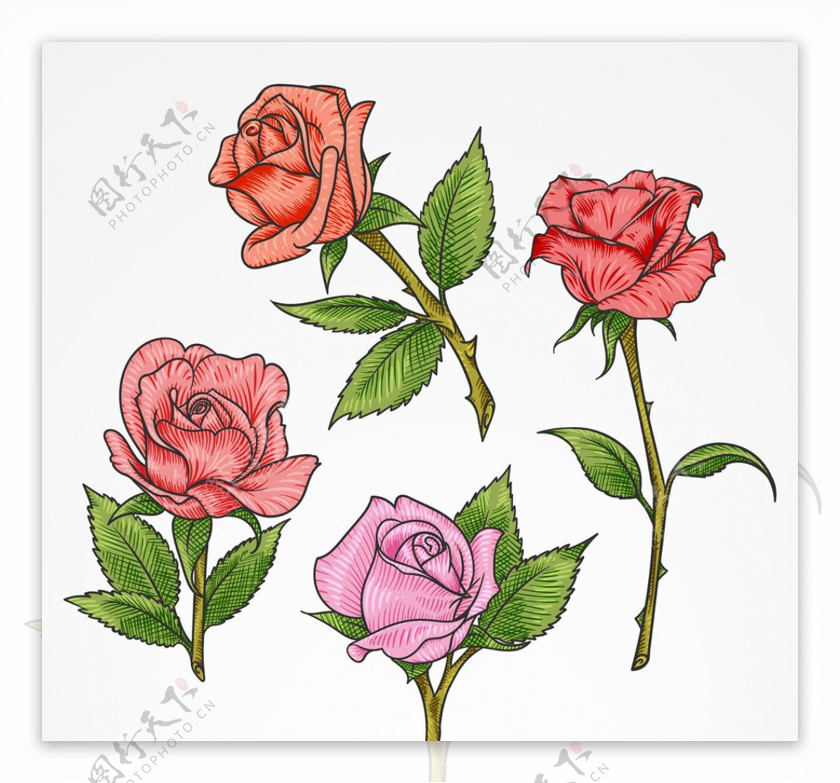 彩色单枝玫瑰花矢量素材
