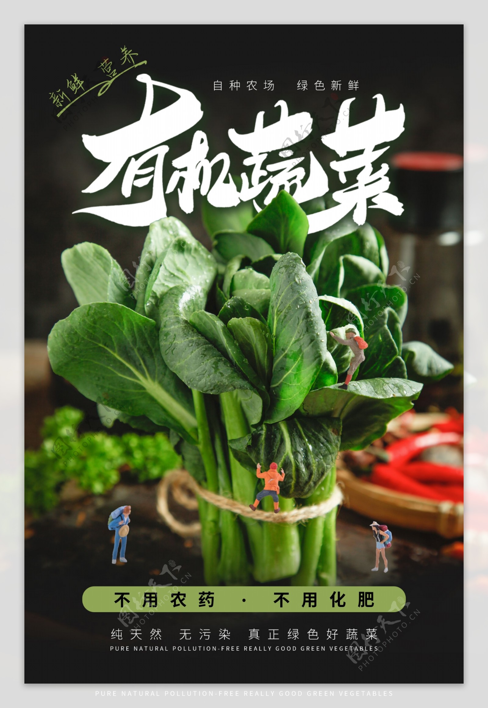 有机蔬菜食材食物超市菜品海报