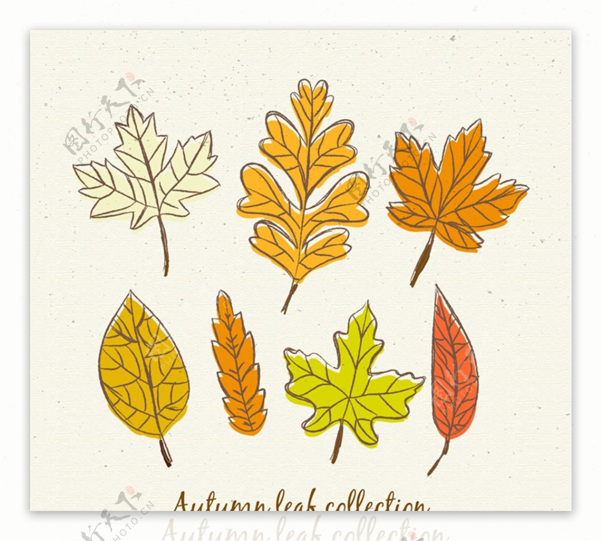 彩绘秋季叶子矢量素材