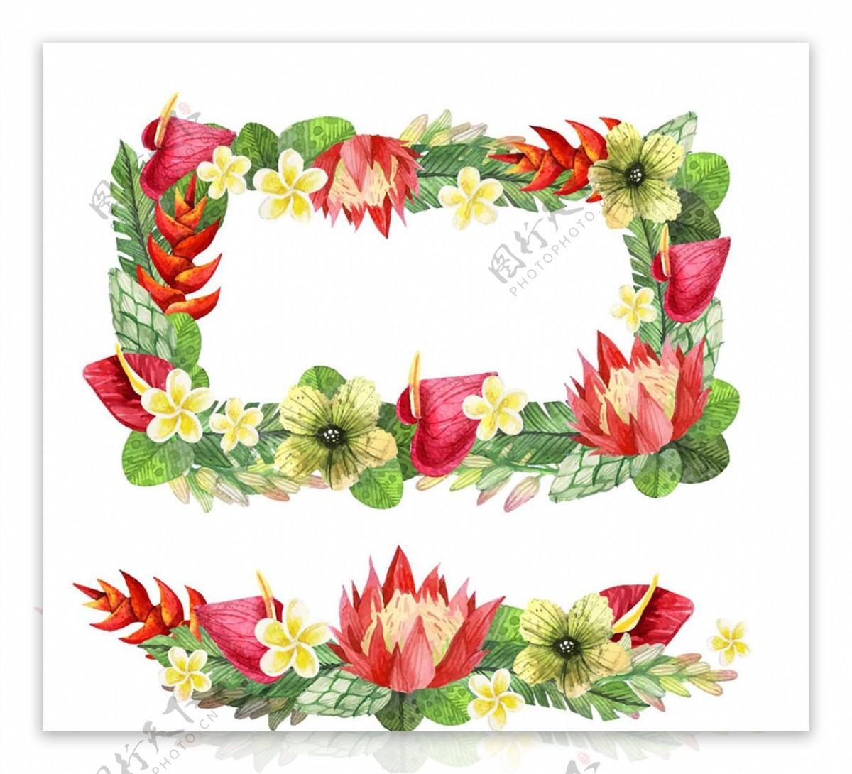 彩色手绘热带花卉框架矢量素材