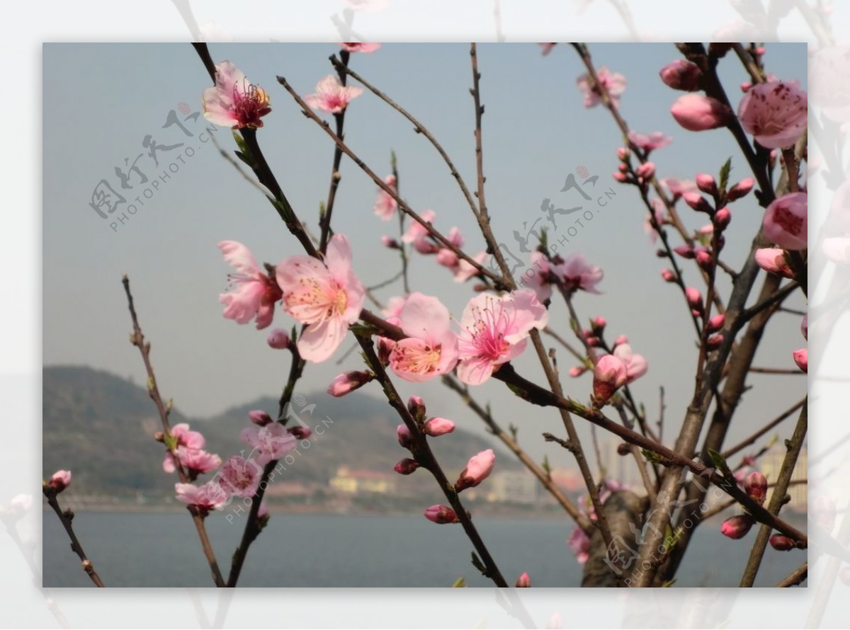 春暖花开