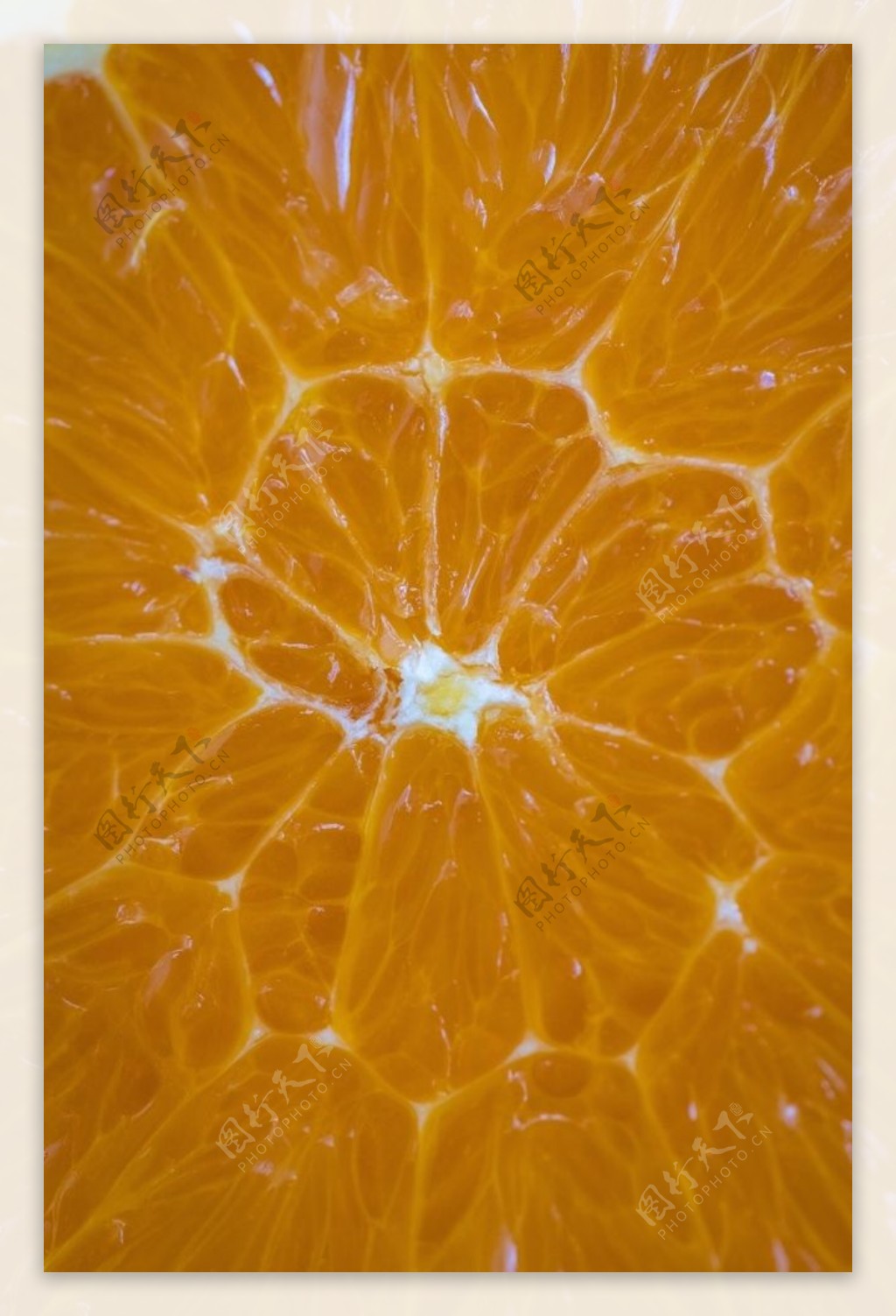 橘子纤维