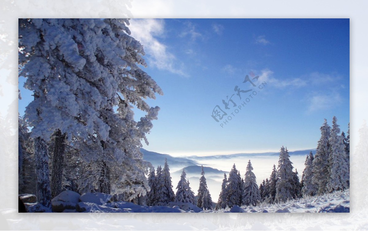 冬天雪景