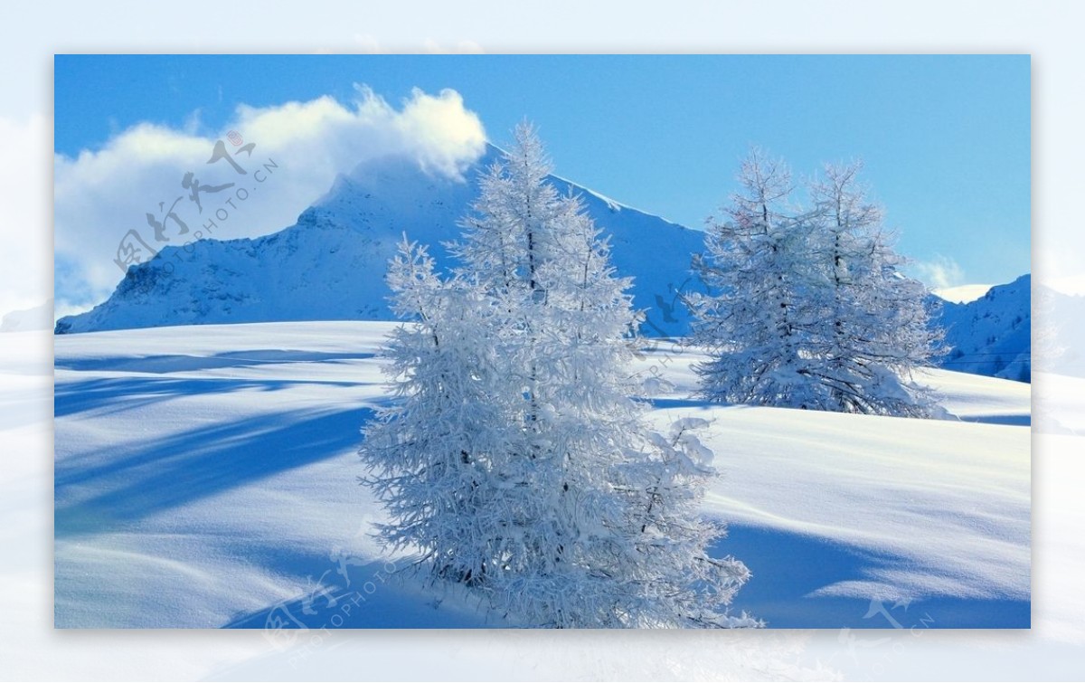 冬天雪景