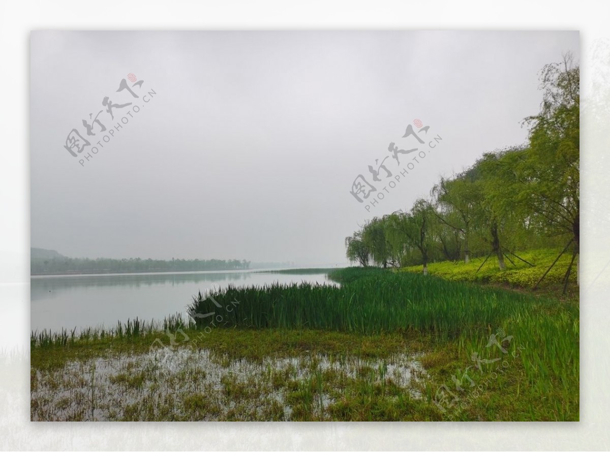 雨后湖边景色