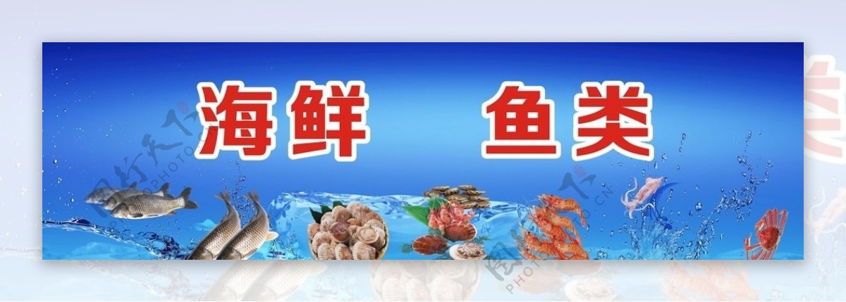 海鲜鱼类宣传广告