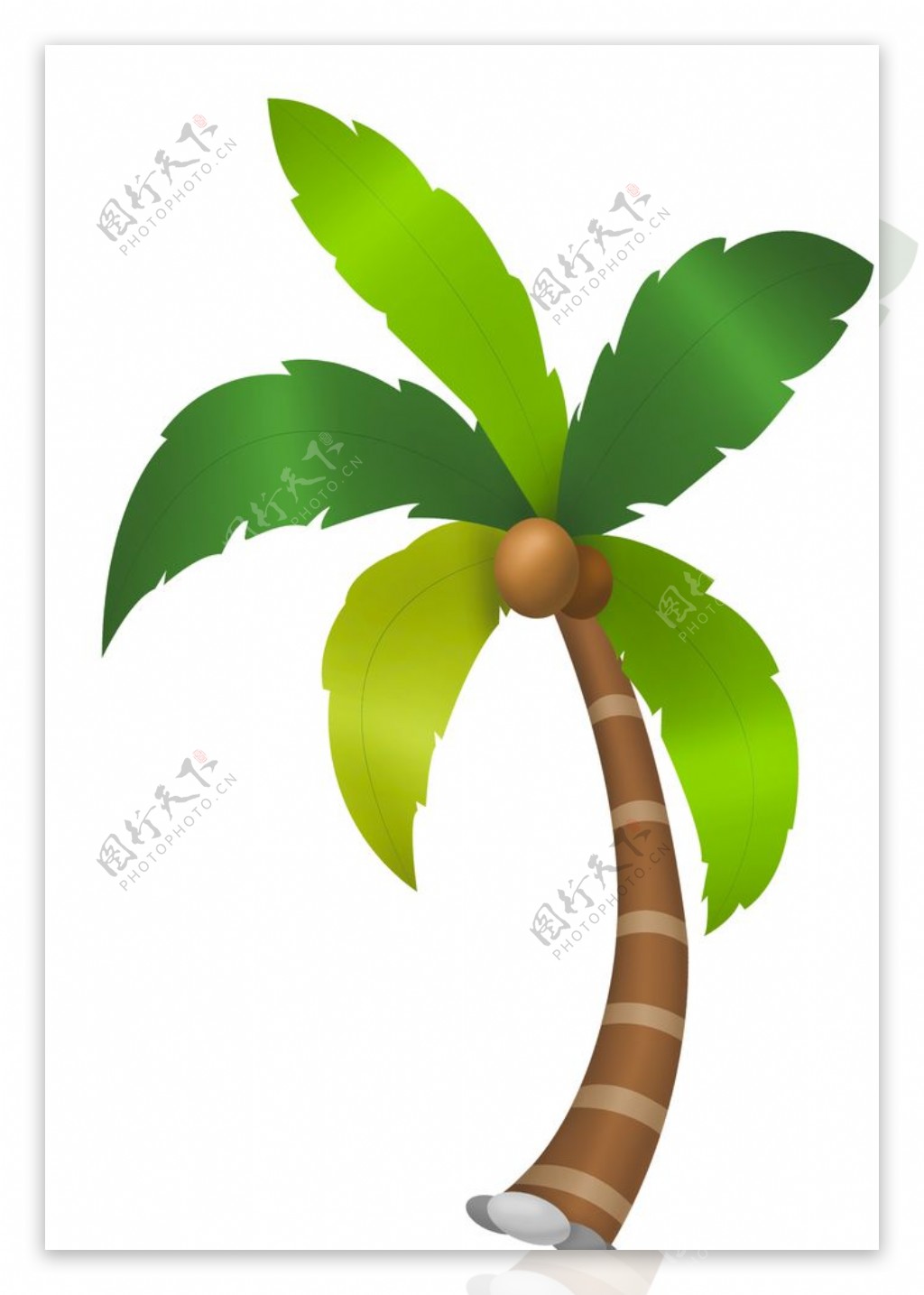 槟榔牌椰子树
