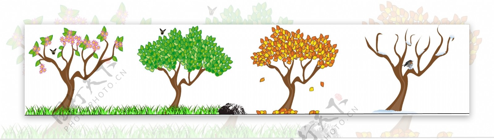树的四季变化插图