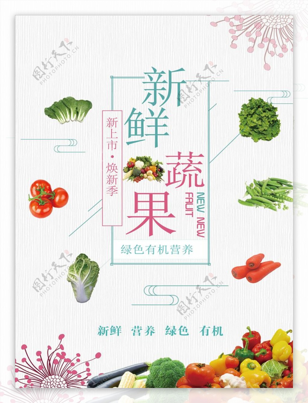 蔬菜蔬菜海报