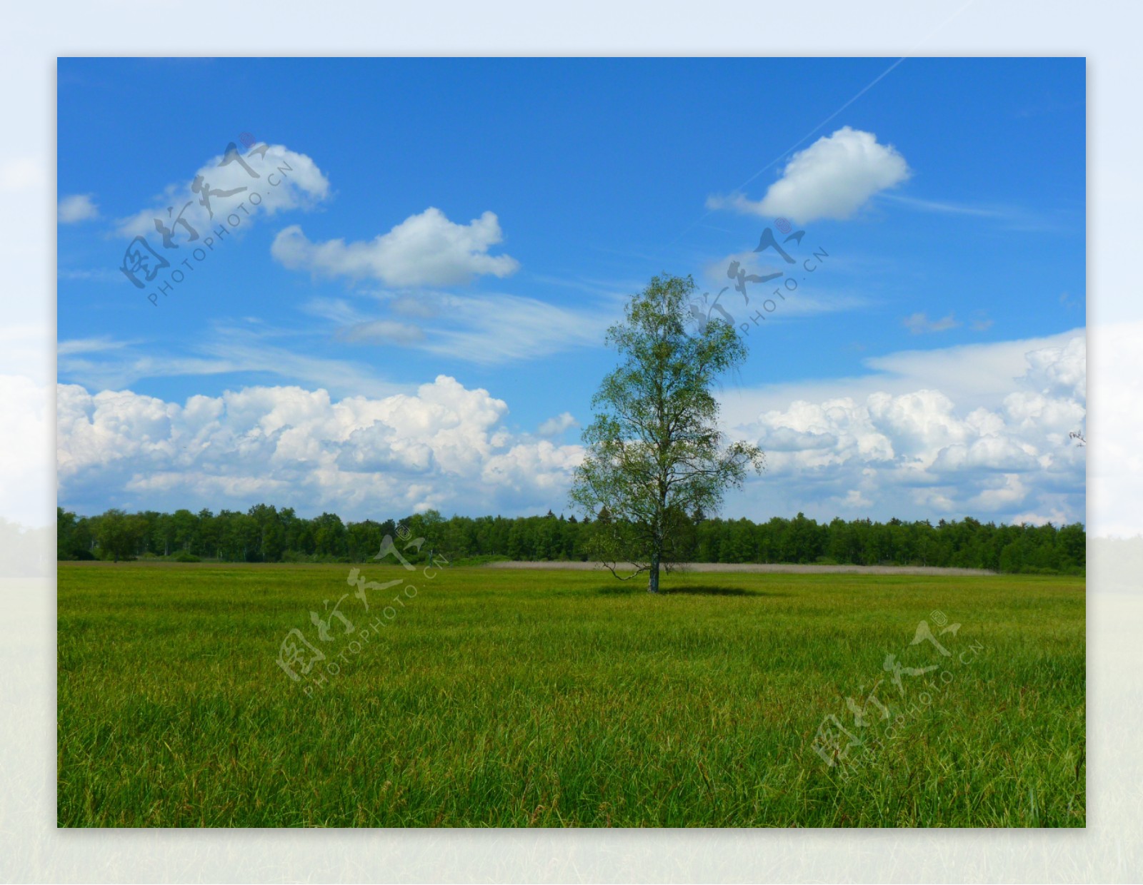 蓝天白云草地风景