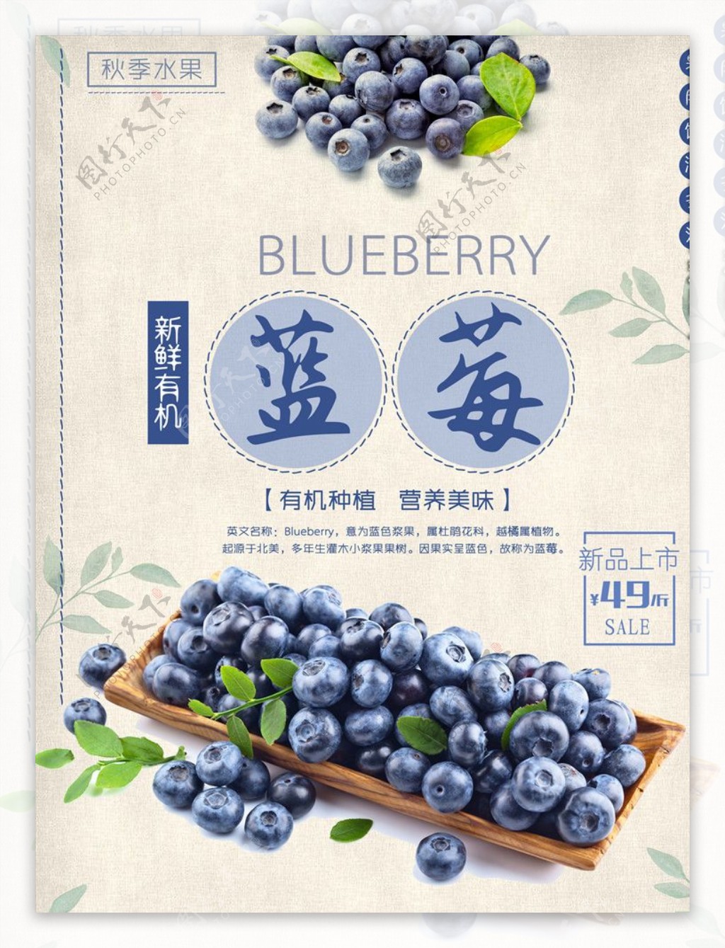蓝莓蓝莓海报