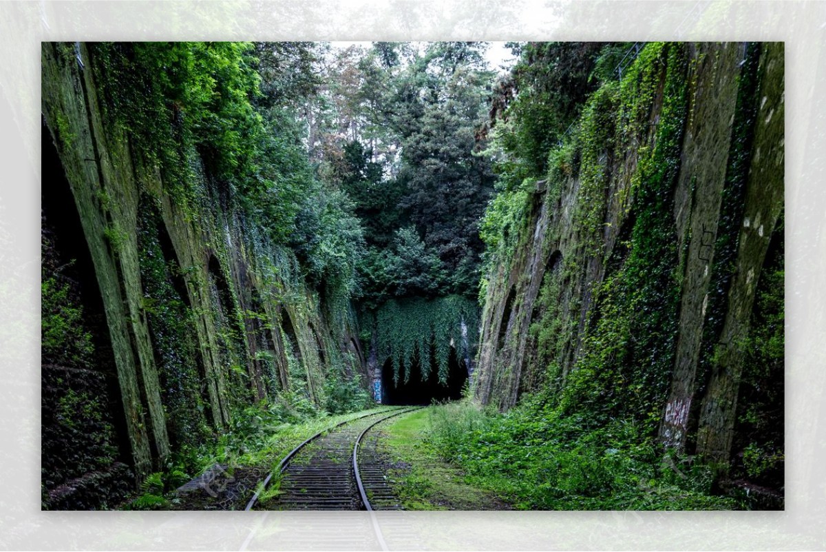 隧道通道自然生态背景素材