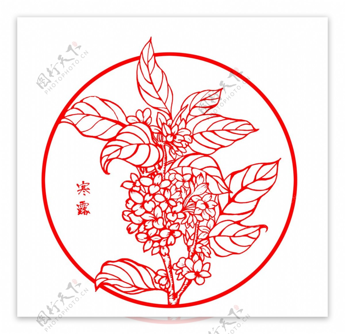 中国传统二十四节气剪纸之寒露图片
