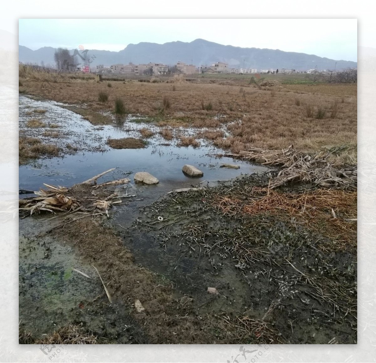 乡村田野荒地风景图片